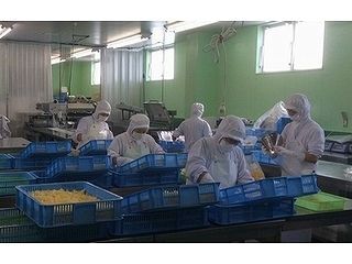 生産・製造技術【正社員】／株式会社丸や岡田商店