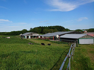 410634002