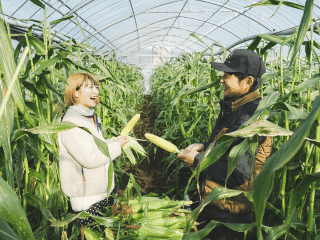 ディレクター（営業）【正社員】／結デザイン有限会社_砂川オフィス