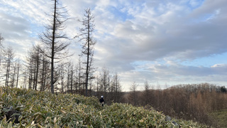 農業機械オペレーター【正社員】／興仁株式会社