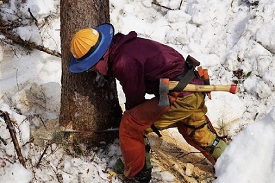 森林作業員【正社員】／下川町森林組合