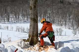 森林整備スタッフ（林業）【正社員】／南富良野木材産業株式会社